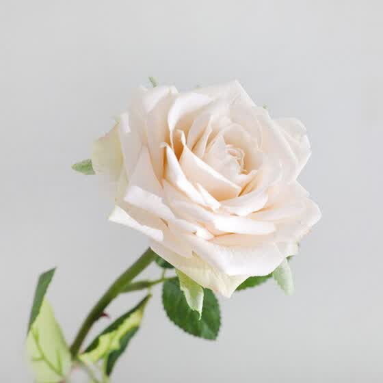 Shop European Style Silk Rose Bouquet Single Romantic Rose Artificial Flower Wedding Hotel Window Decoration Fake Ornaments Online From Best Artificial Plants On Jd Com Global Site Joybuy Com