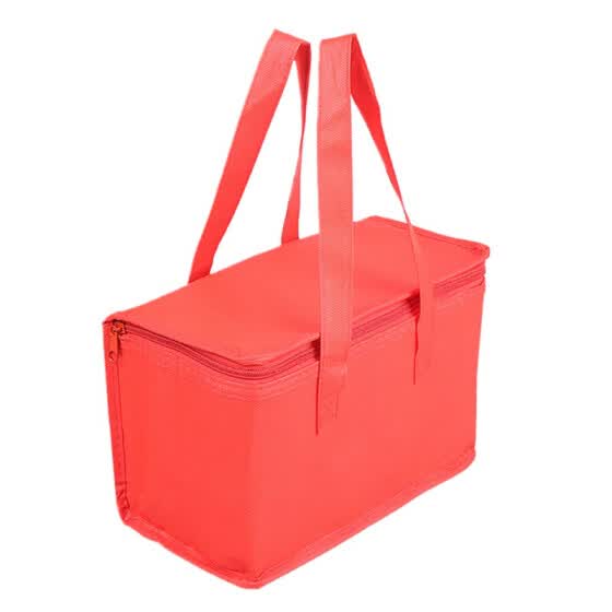 extra large insulated cooler bag