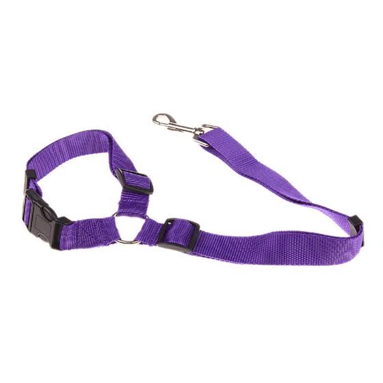 dog leash safety clip