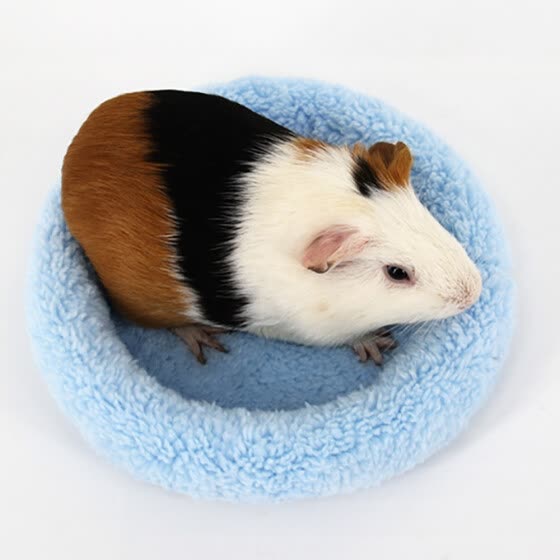 guinea pig soft bed