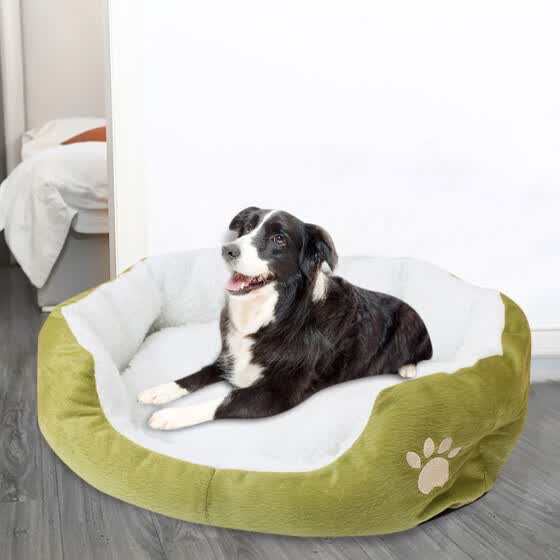 dog mat online