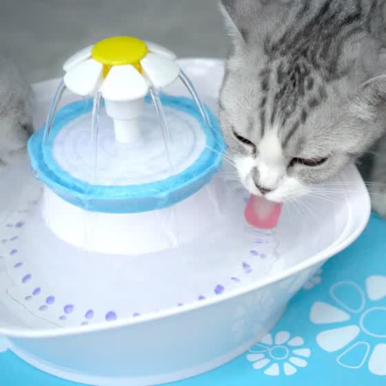 automatic cat drinking fountain