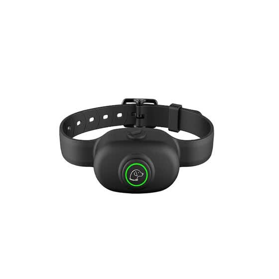 automatic shock collar with remote