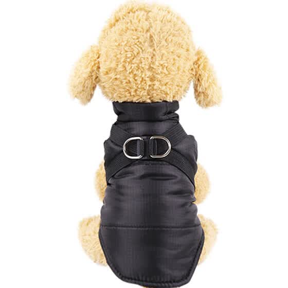 xxl dog clothes shop
