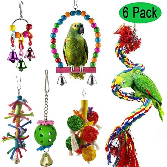 parrot toys online