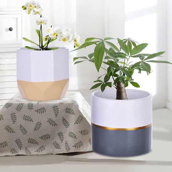 Download Indoor Plant Pots Online Shop Pics