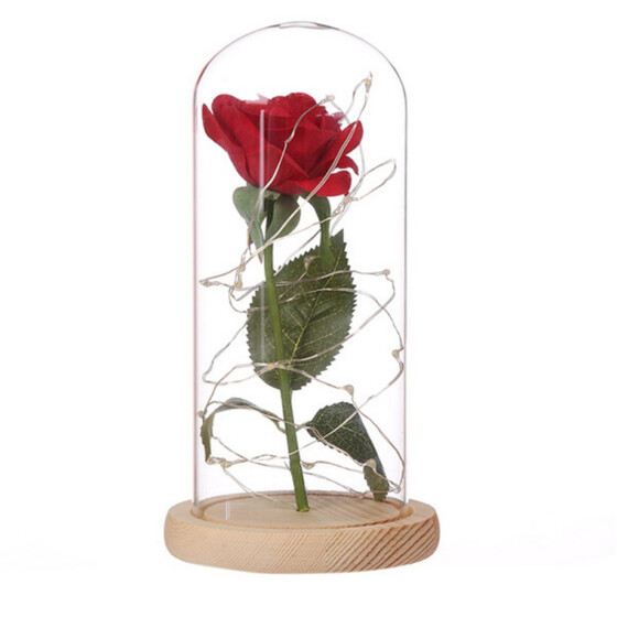 Romantic Beauty And The Beast Red Rose Glass Dome Led Llight Valentine/'s Gifts