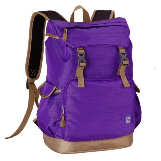 purple computer bag