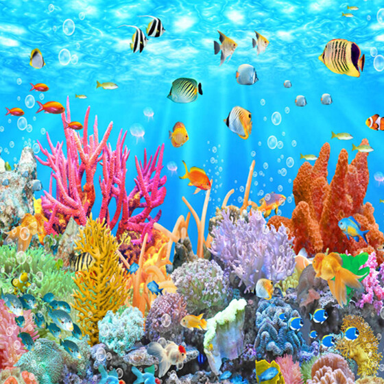 3D Ocean Underwater Colorful Fish Entire Room Wallpaper Wall Murals