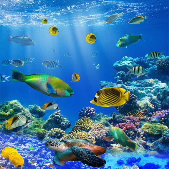 Shop Custom Mural Wallpaper Hd Beautiful Undersea World