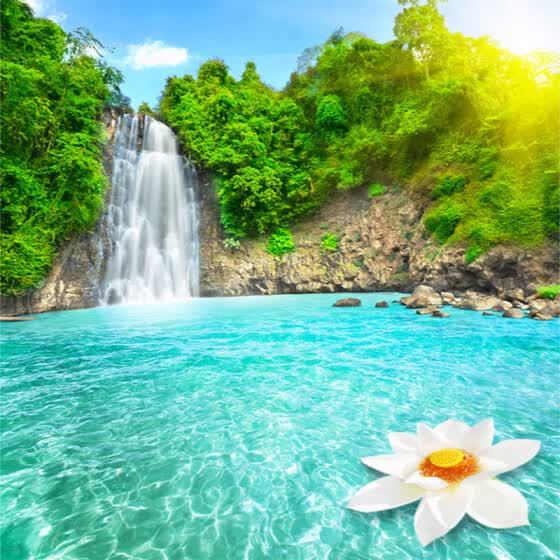 Shop Natural Scenery 3d Wall Mural Forest Waterfalls Pools Photo