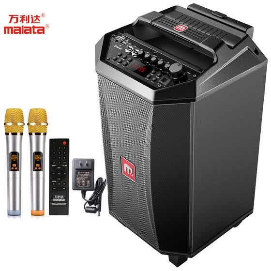 12 inch trolley speaker