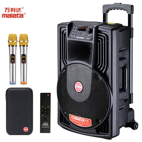 12 inch stereo speakers