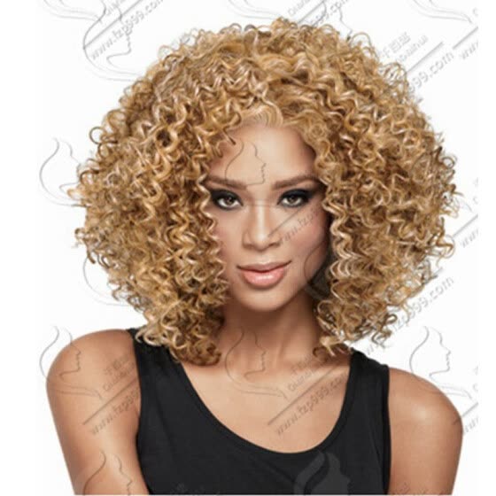Shop Qianbaihui Afro Curly Wigs For Black Women Short Blonde
