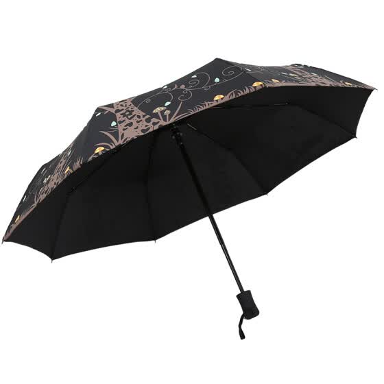 buy cute umbrella online