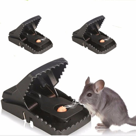 6Pcs Rat Trap Catching Mice Mouse Mousetrap Bait Pest Catching Killer Reusable