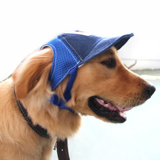 dog baseball hat