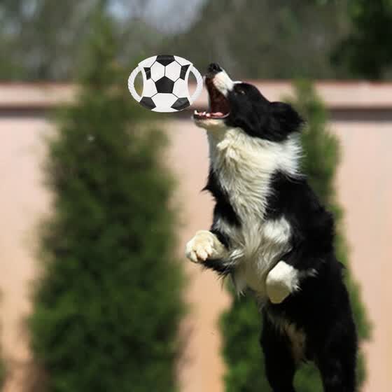 flying football toy