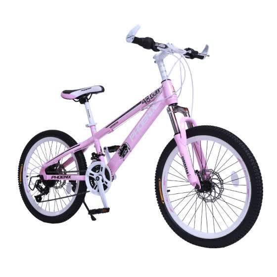 22 inch bicycle online