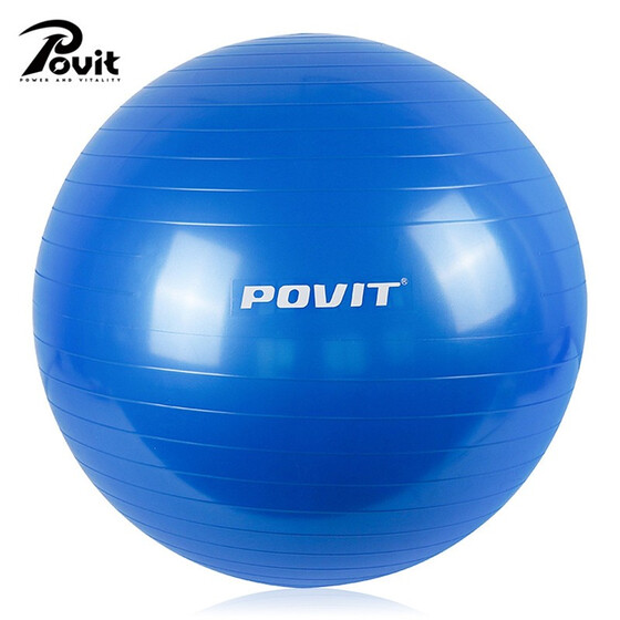 Stable Balance And Yoga Sports Ball 65cm Including Pump And Quick Pump PVC