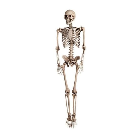 Shop Halloween Simulation Hanging Skeleton Human Body Bone