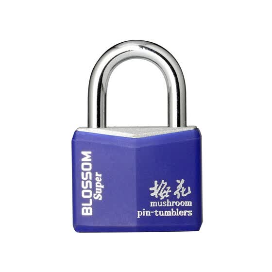 Shop Plum Blossom Automatic Door Padlock Rubber Waterproof Door