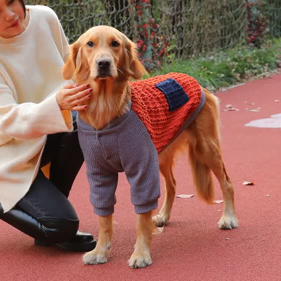 big dog jumpers