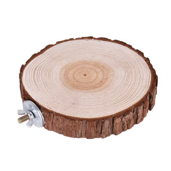 Shop Bird Cage Accessories Pet Round Wooden Coin Jumping Platform