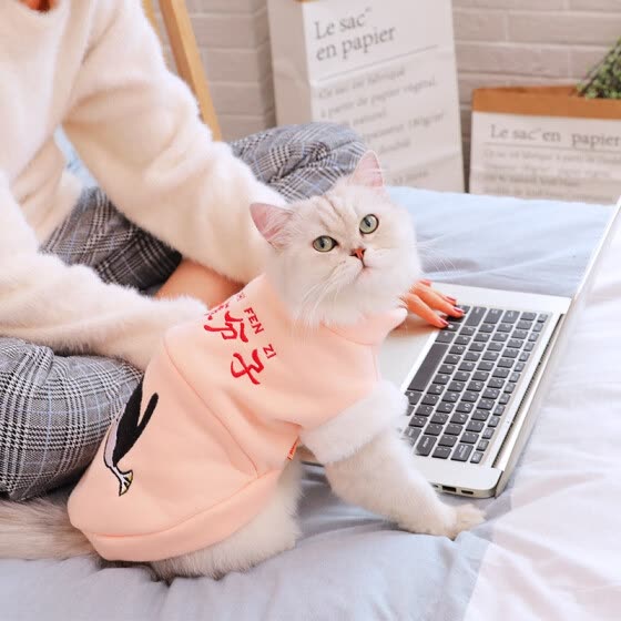 cat clothes online