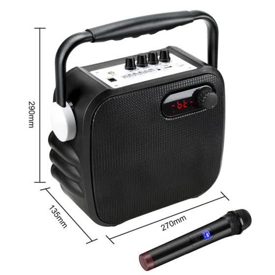 portable speaker with wireless microphone