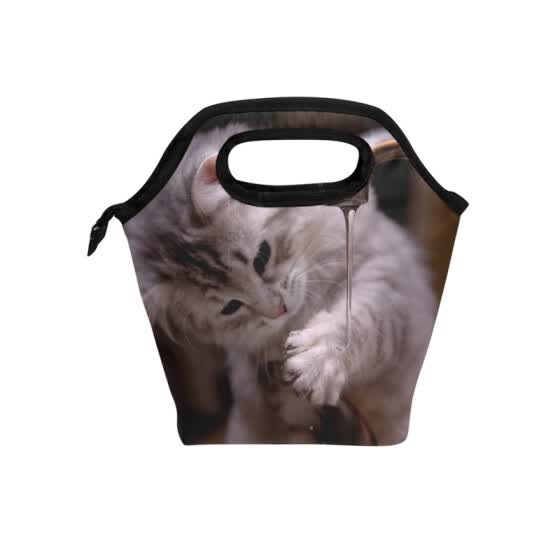 online shopping lunch bags