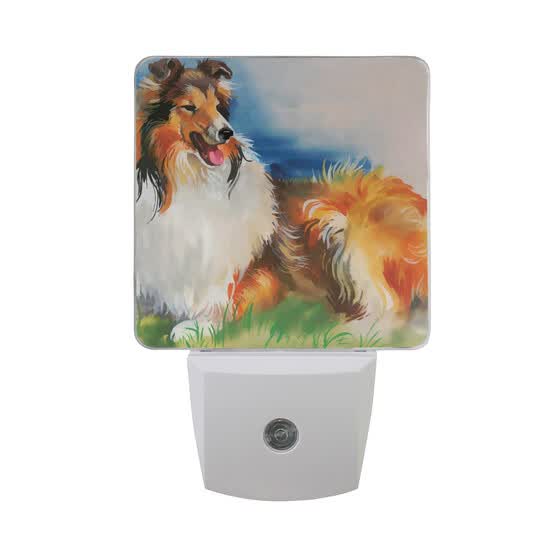 Shop Alaza Led Night Light With Smart Dusk To Dawn Sensor Twenty