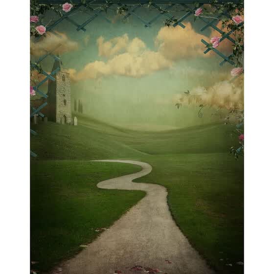 Shop Wild Path Photo Backdrop 5 7ft Vinyl Fabric Cloth Digital Printing Photo Background For Birthday S 2327 Online From Best On Jd Com Global Site Joybuy Com