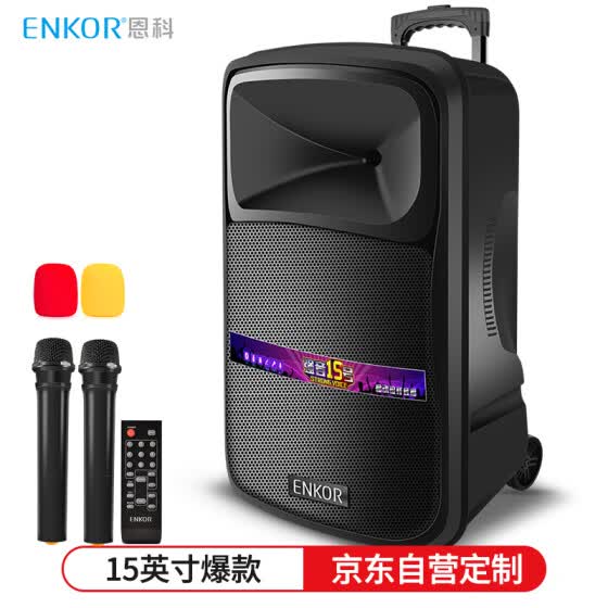 speaker portable wireless 15 inch