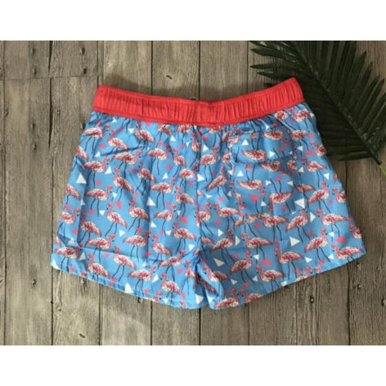 Jmwss QD Mens Loose Fit Summer Tropical Swimming Beach Shorts Trunks