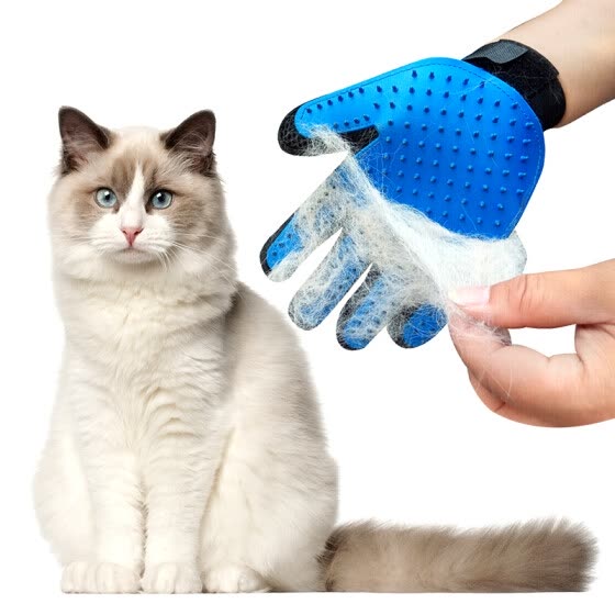cat brush hand glove
