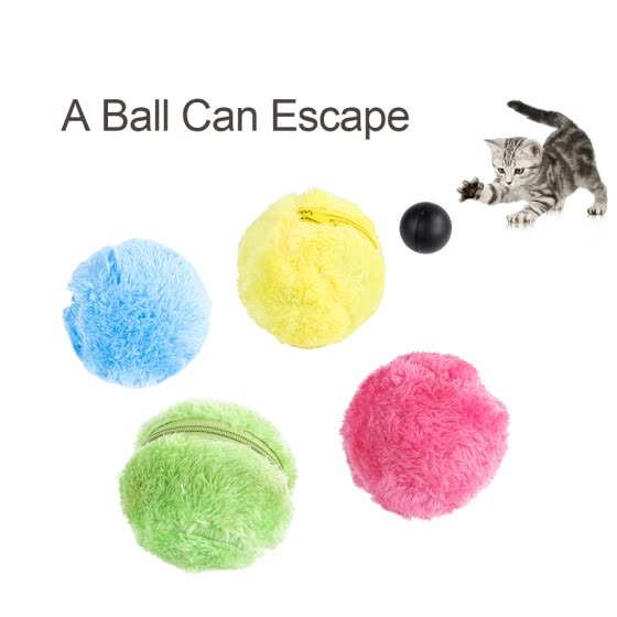 cat roller ball toy