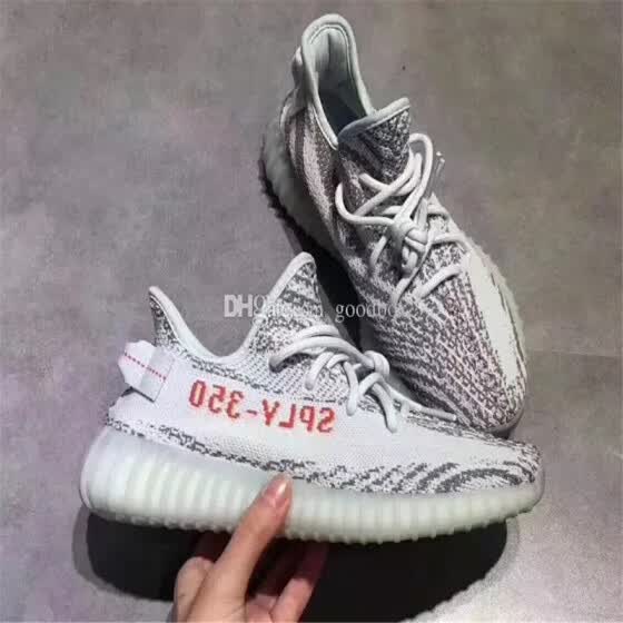 blue tint zebra