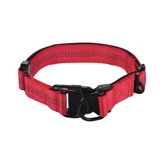 durable dog collars