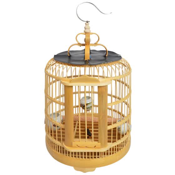 bird cage online shopping