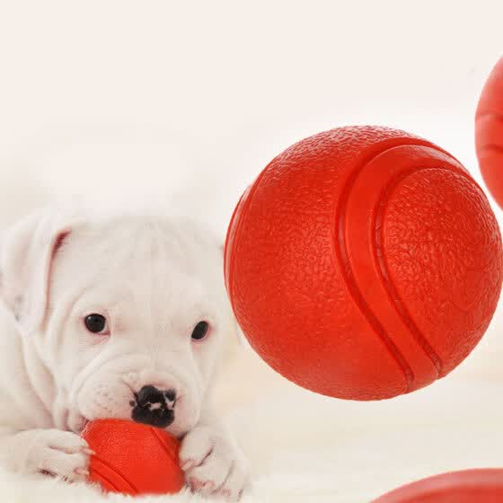 large dog ball toys