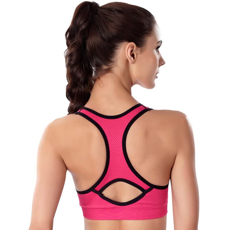 shop sports bra online