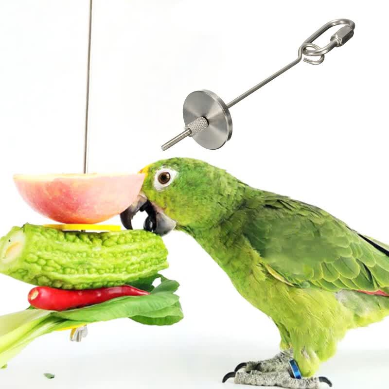 Shop Pet Parrot Bird Stainless Steel Fruit Fork Feeder Birdcage