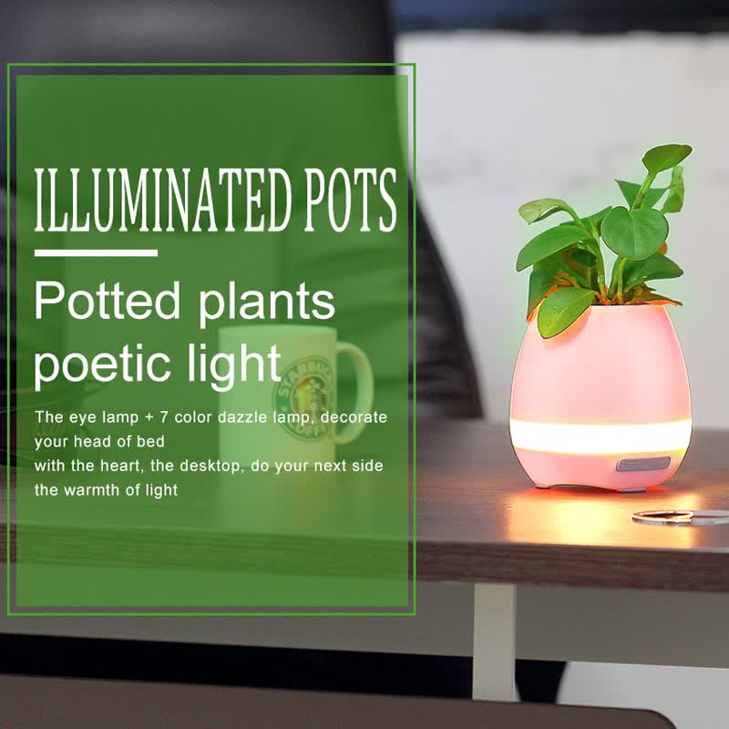 tokqi smart music flowerpot