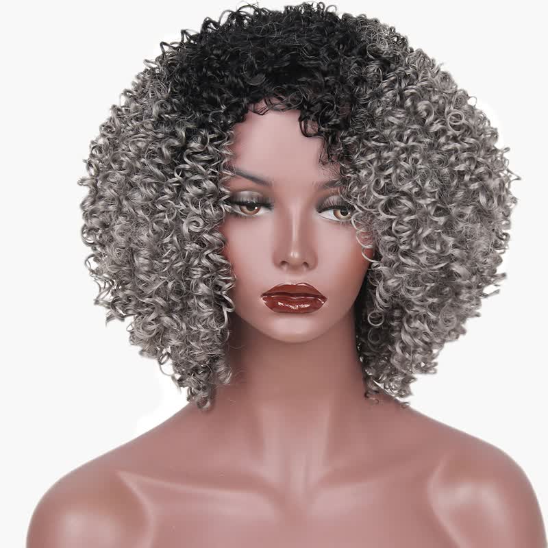 Shop I S A Wig Synthetic Wigs Long Afro Kinky Curly Ombre Black