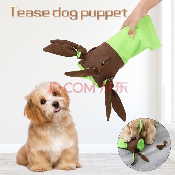 cabbage dog toy
